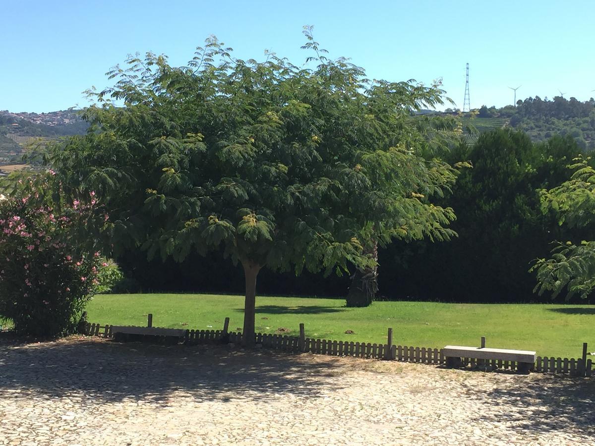 Quinta Da Vinha Morta Lamego
