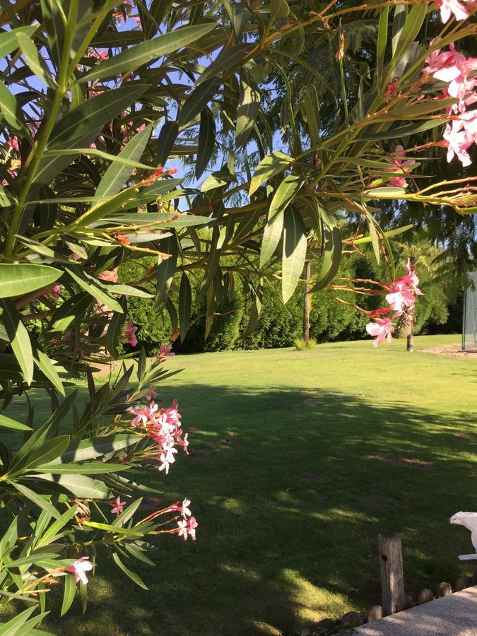 Quinta Da Vinha Morta Lamego
