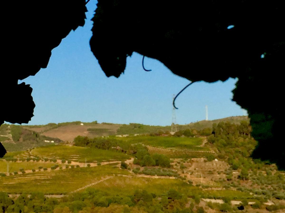 Quinta Da Vinha Morta Bed & Breakfast Lamego